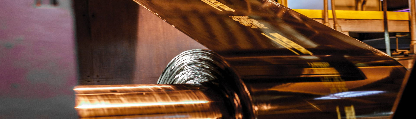 Preserve integrity and appearance in demanding environments