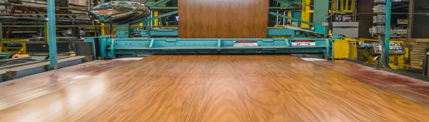 Expert application of protective, decorative, and innovative coatings